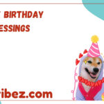Funny Birthday Blessings